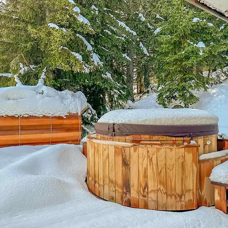1850, 14 Pers, Jacuzzi Et Sauna, Parking - Fr-1-564-133 Chalet